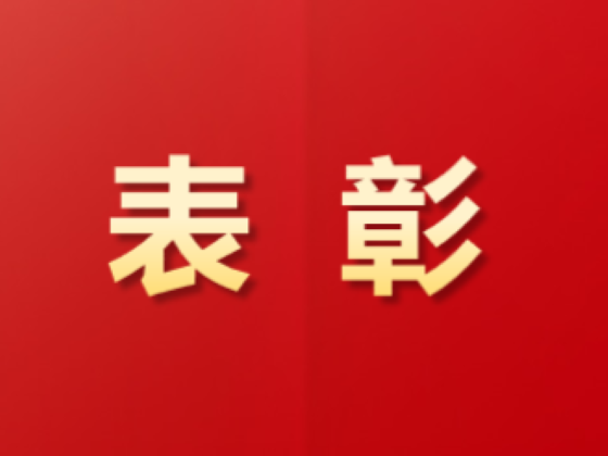 祝賀！這些青年集體和個人榮獲中國物流表彰！